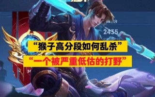 王者荣耀打野攻略_王者荣耀打野基本思路