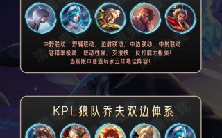 职业王者荣耀阵容搭配，王者荣耀职业联赛最佳阵容