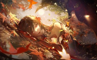 阴阳师红叶7攻略_阴阳师红叶10层怎么过