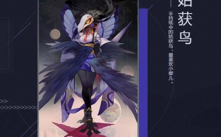 阴阳师秘闻鸟攻略-阴阳师秘闻打法？