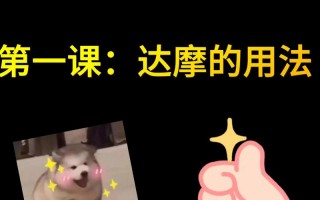 阴阳师达摩套装搭配图，阴阳师达摩的使用法