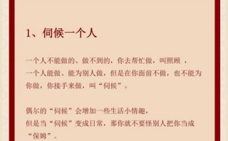 王者荣耀搭配什么菜系，王者荣耀最佳搭配阵容