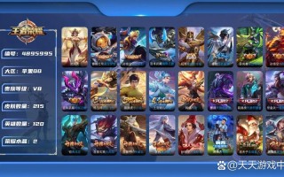 王者荣耀双武器搭配英雄_王者装备无双