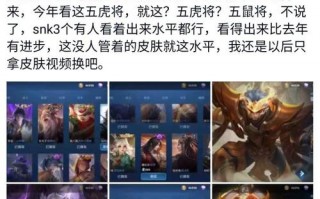 王者荣耀皮肤攻略-王者荣耀皮肤攻略最新？