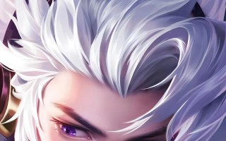 王者荣耀韩信最新攻略，王者荣耀韩信攻略