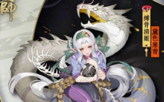 阴阳师角色限定搭配图-阴阳师限定ssr图鉴？