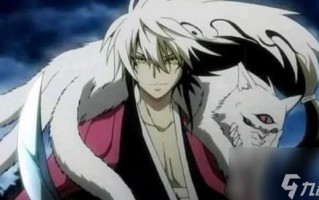 阴阳师技能搭配图片高清，阴阳师技能详解