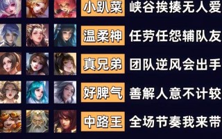 王者荣耀职业搭配技巧男_王者职业打法