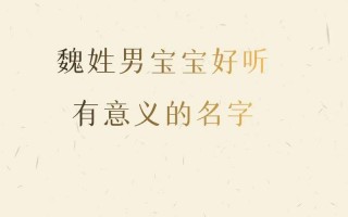 王者荣耀魏锐招式搭配_魏锐战绩统计