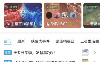 王者荣耀铭牌搭配技巧，王者铭牌是干什么用的