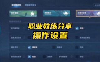 王者荣耀攻略怎么关-王者荣耀如何去掉攻略两个字？