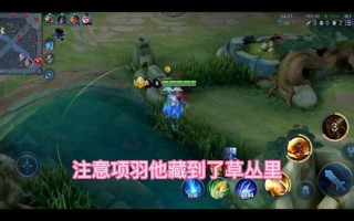 王者荣耀反野攻略，王者荣耀中反野是指什么意思