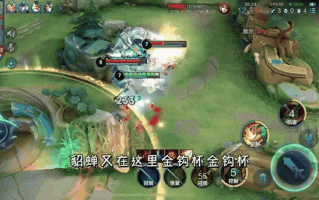 刘禅王者荣耀攻略，刘禅王者荣耀怎么打