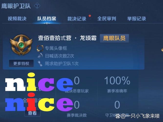 王者荣耀护卫装备搭配,王者荣耀护卫队是什么意思-第5张图片-平泛游戏 王者荣耀护卫装备搭配,王者荣耀护卫队是什么意思-第5张图片-平泛游戏