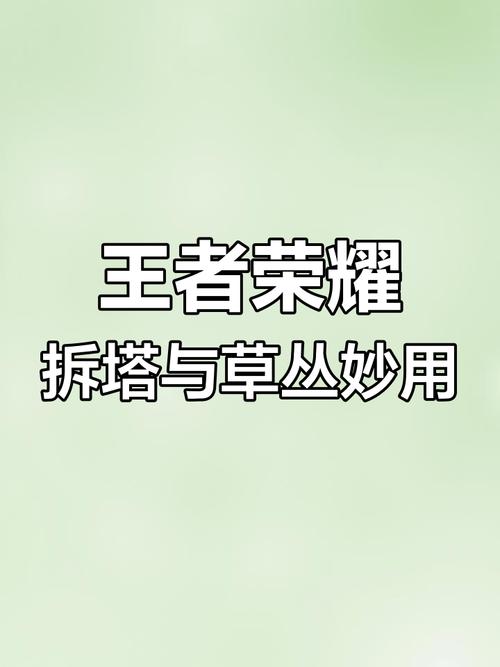 荣耀王者技巧攻略-王者荣耀实用技巧？-第1张图片-平泛游戏