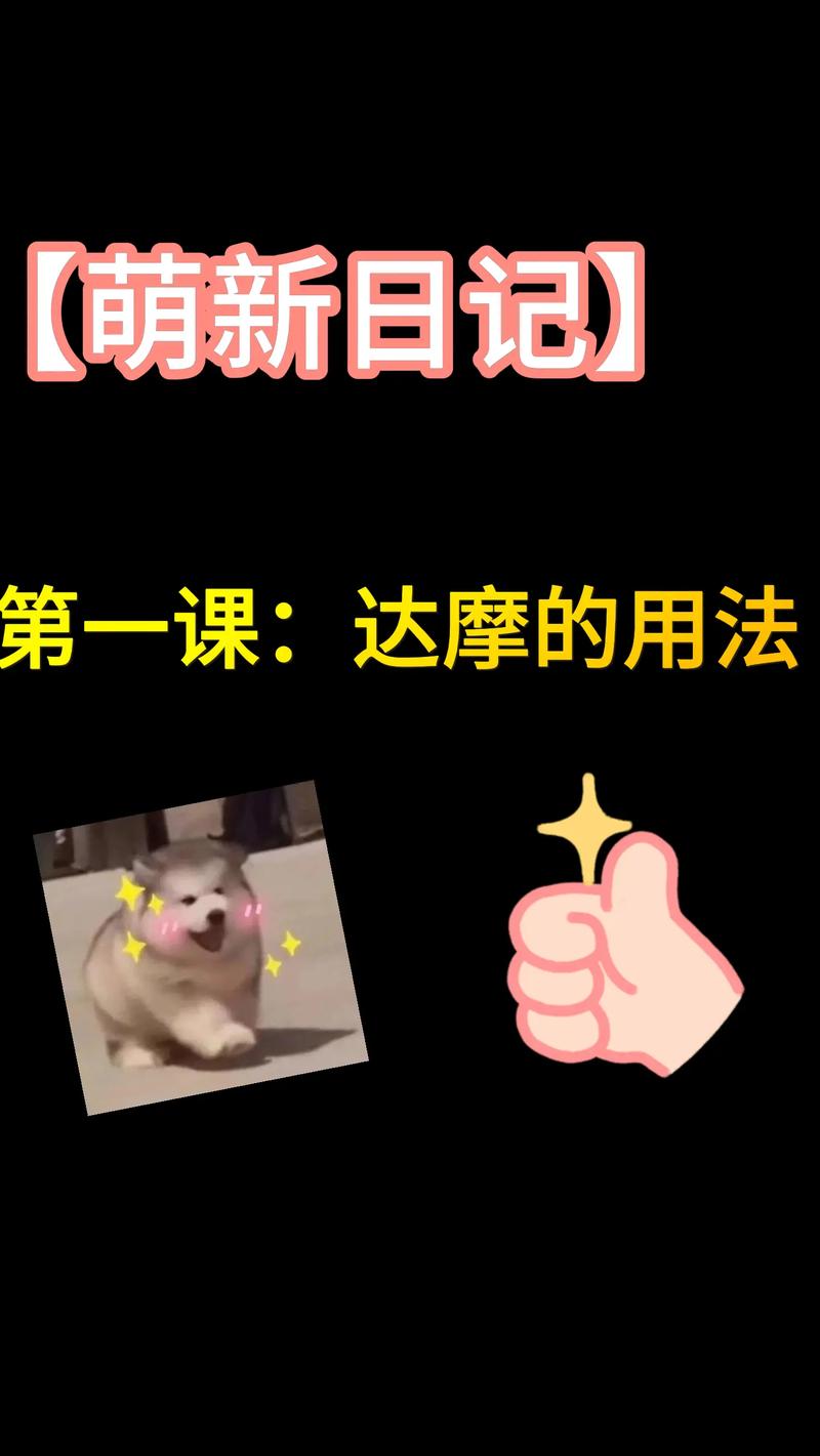 阴阳师达摩套装搭配图，阴阳师达摩的使用法-第1张图片-平泛游戏