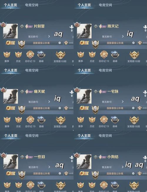 王者荣耀牛血色搭配，牛血色rgb-第2张图片-平泛游戏