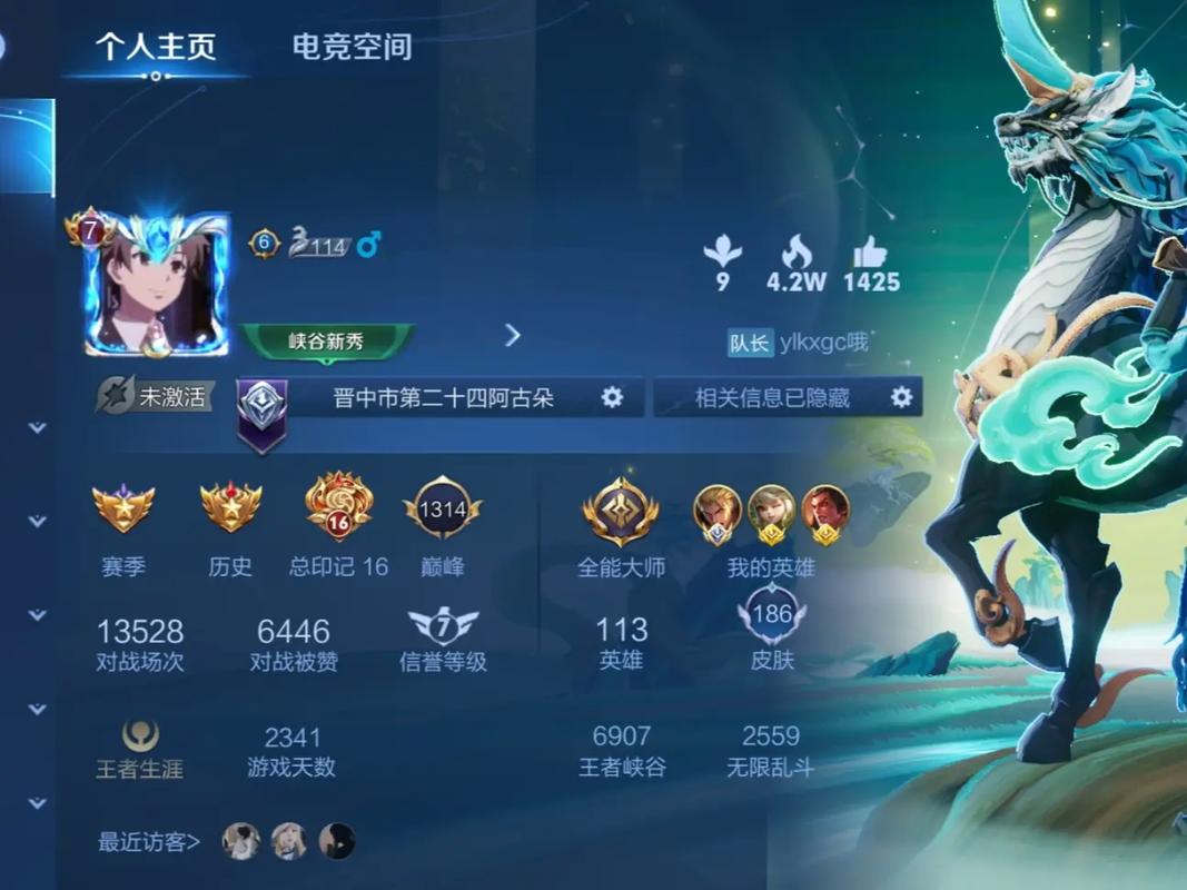 王者荣耀御寒搭配什么-御寒材料？-第3张图片-平泛游戏