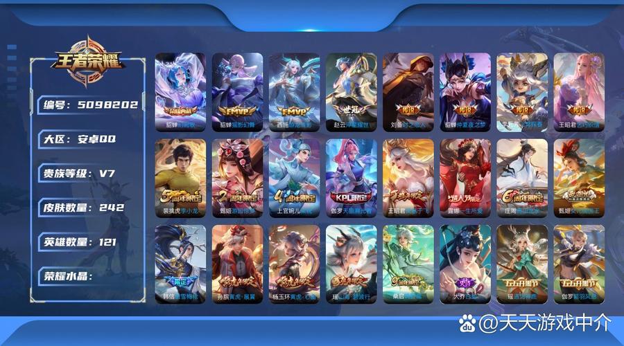 王者荣耀圣骑士布阵搭配_圣骑士最强玩法-第6张图片-平泛游戏